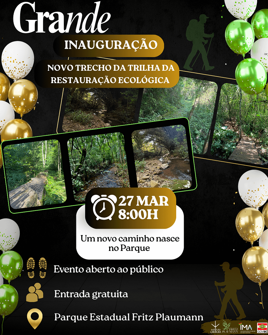 Preto e Dourado Moderno Inauguração de Academia Story (2)