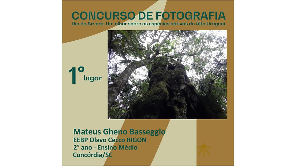 parque-fritz-plaumann-concurso-de-fotografia