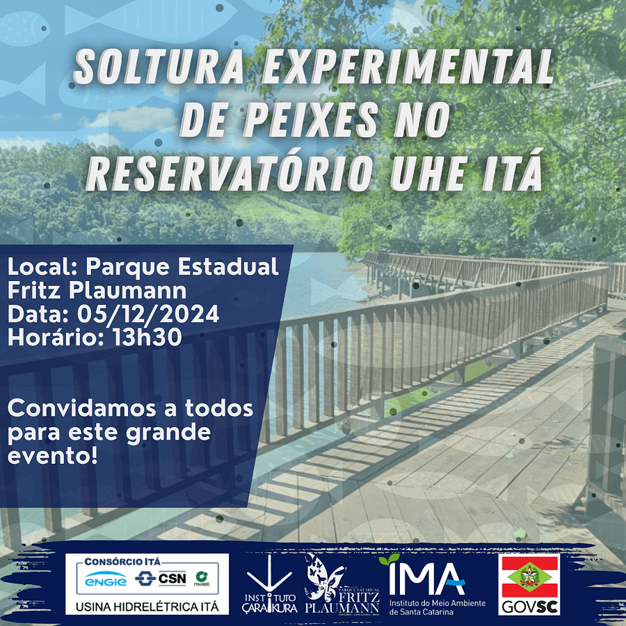 Story do Instagram Encontre Os Melhores Peixes Aqui Moderno Branco (Post para Instagram)